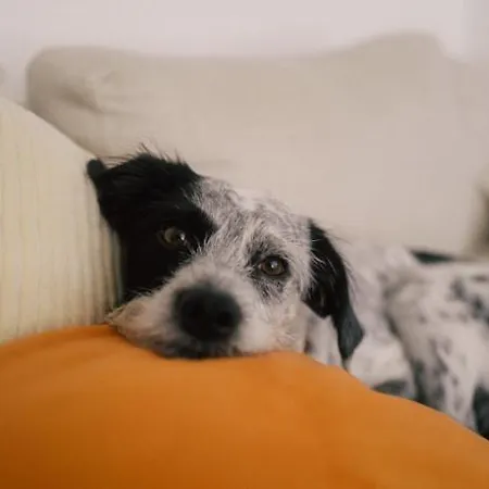 Hiive Отель Ольденбург